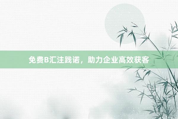 免费B汇注践诺，助力企业高效获客
