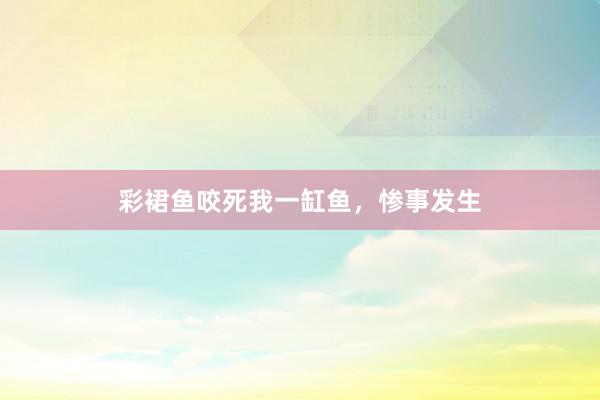 彩裙鱼咬死我一缸鱼，惨事发生