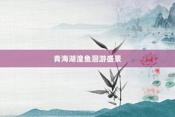 青海湖湟鱼洄游盛景
